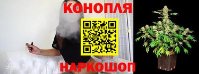 дмт Шелехов