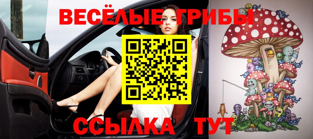 Галлюциногенные грибы прущие грибы Зеленодольск