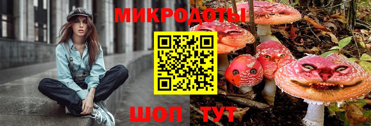 что такое   Псилоцибиновые грибы Psilocybe  Вход с VPN  Зеленодольск  Псилоцибиновые грибы Psilocybe 